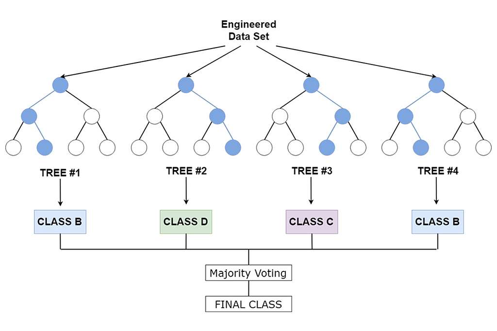 How Algorithm Works
